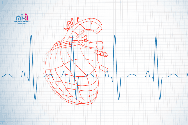 Membantu Keseimbangan Detak Jantung