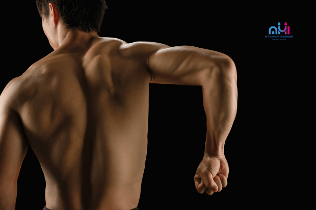 Membantu mengendurkan otot yang tegang