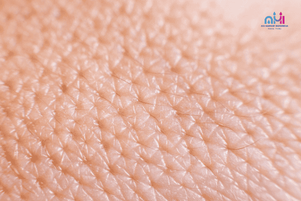 Membuka pori-pori kulit