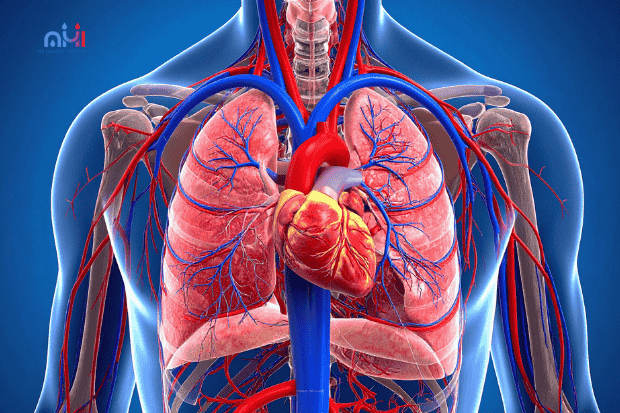 Gangguan pada sistem pernapasan