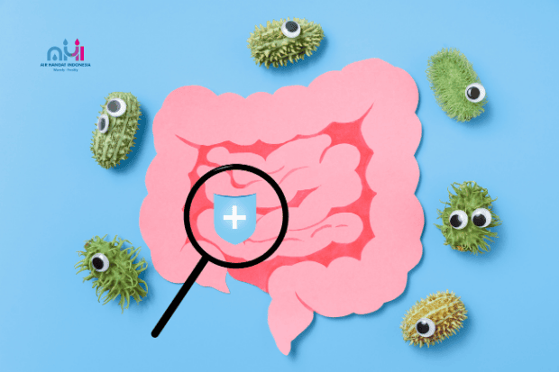 Manfaat air hangat untuk pencernaan